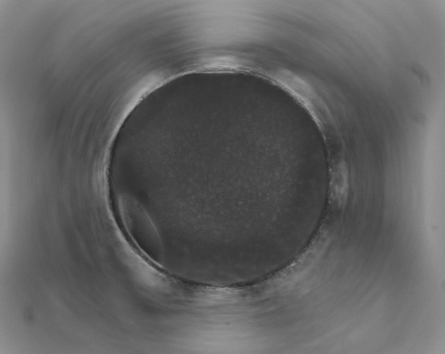 X0000111801475200908061147
