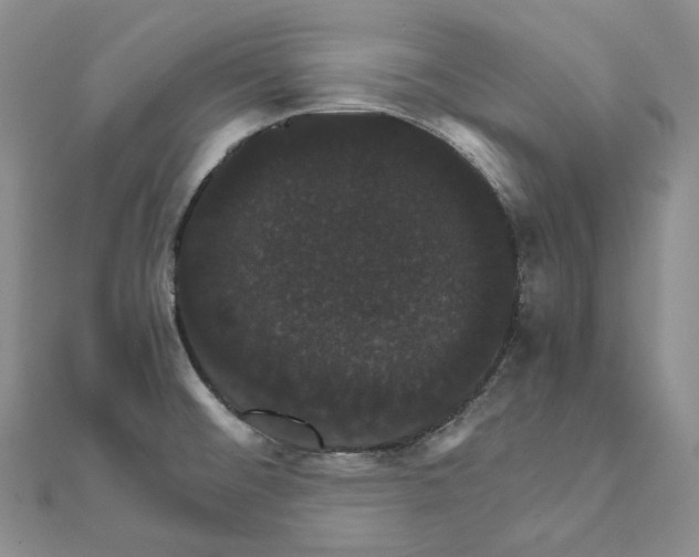 X0000111801476200908061147