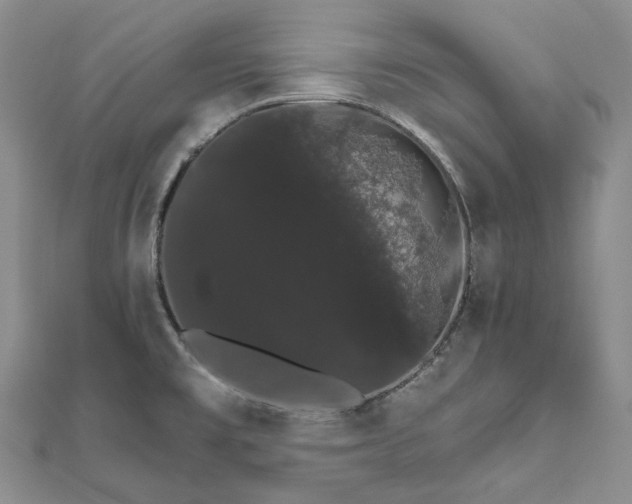 X0000111801477200908061147