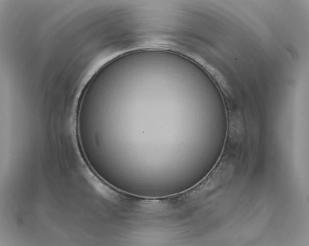 X0000111801478200908061147