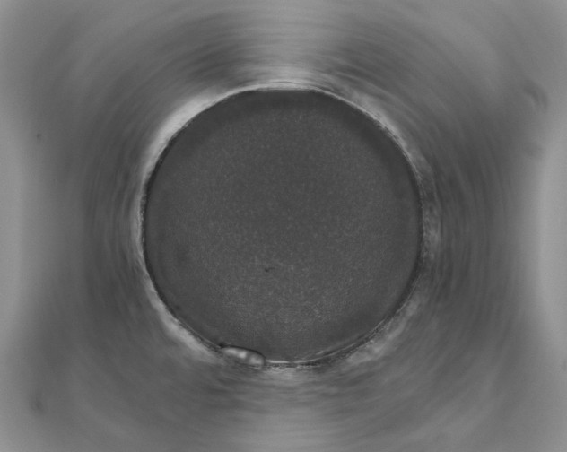 X0000111801480200908061147