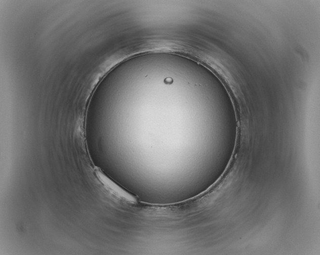 X0000111801481200908061147