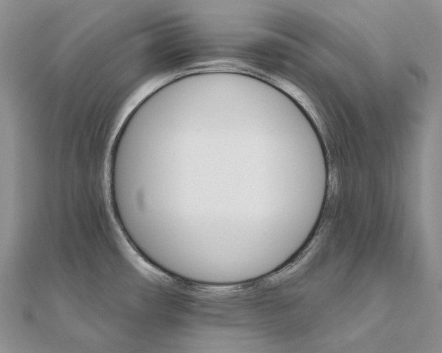 X0000111801482200908061147