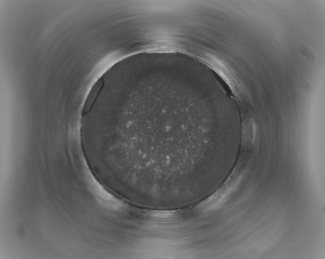 X0000111801484200908061147