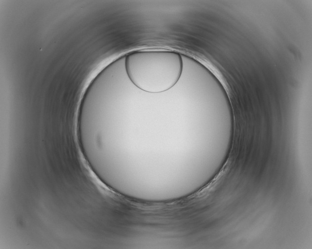 X0000111801485200908061147