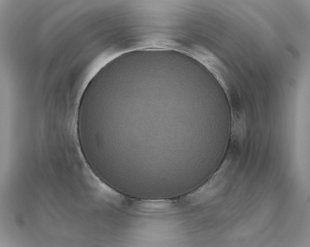 X0000111801486200908061147