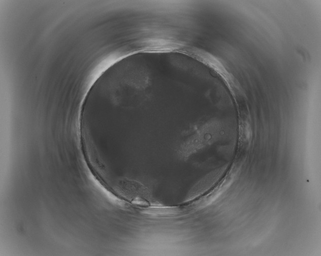 X0000111801487200908061147