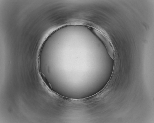 X0000111801488200908061147