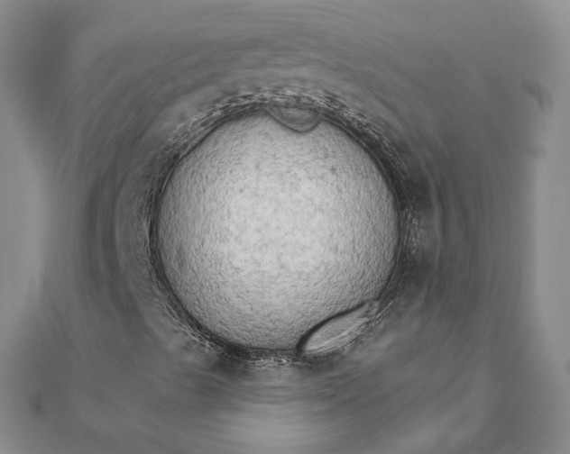 X0000111801489200908061147