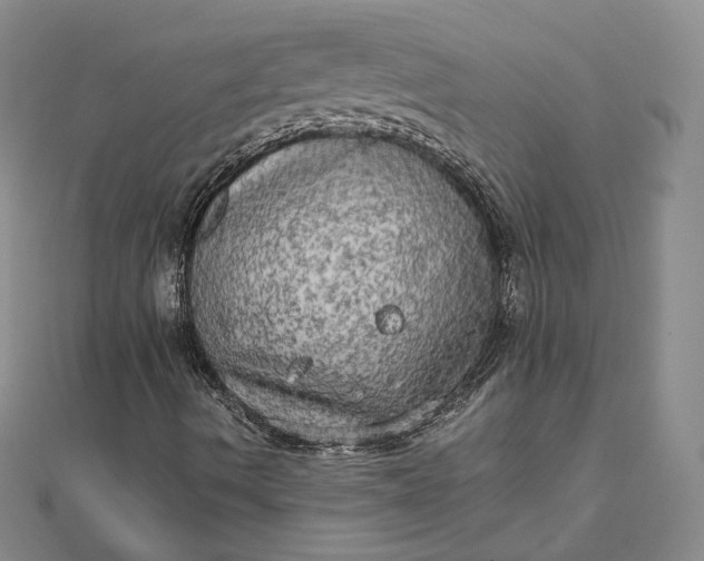 X0000111801490200908061147