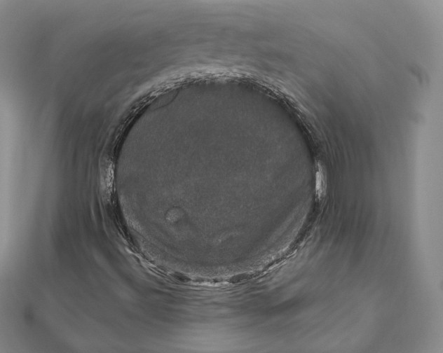X0000111801492200908061147
