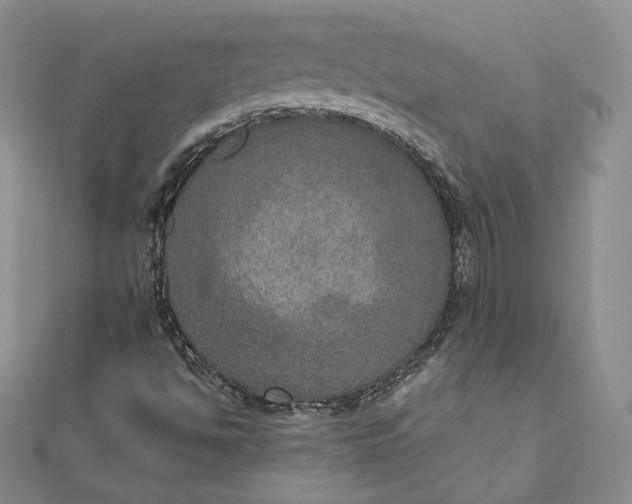 X0000111801494200908061147