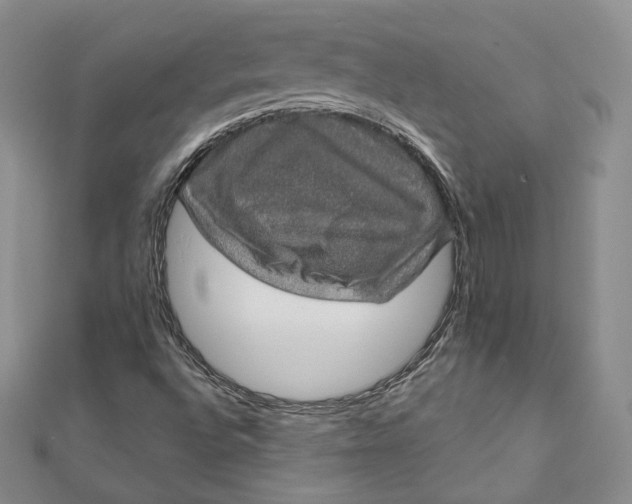 X0000111801496200908061147