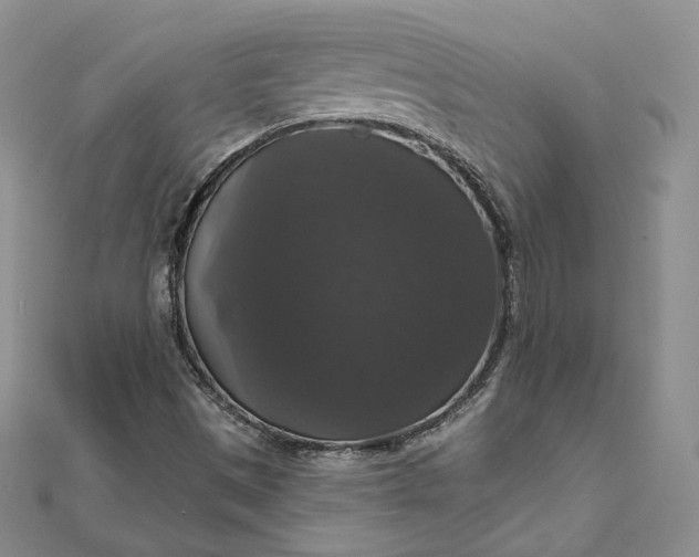 X0000111801497200908061147