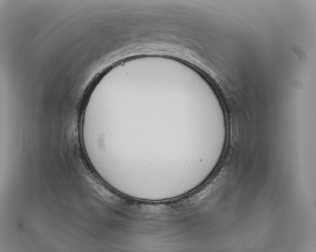 X0000111801498200908061147