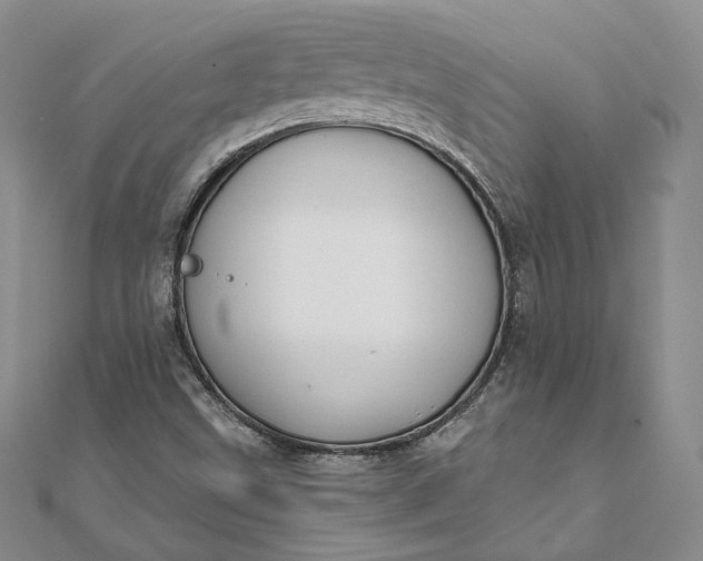 X0000111801499200908061147
