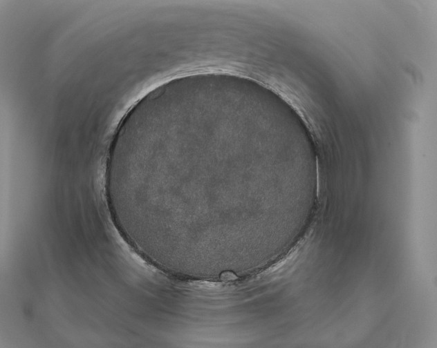 X0000111801500200908061147