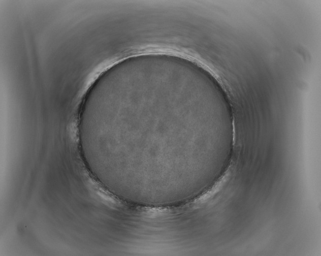 X0000111801501200908061147