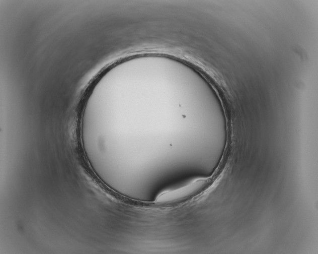 X0000111801502200908061147