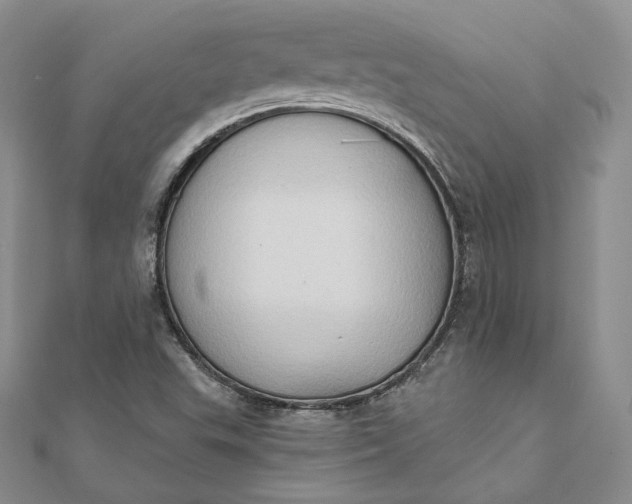 X0000111801503200908061147