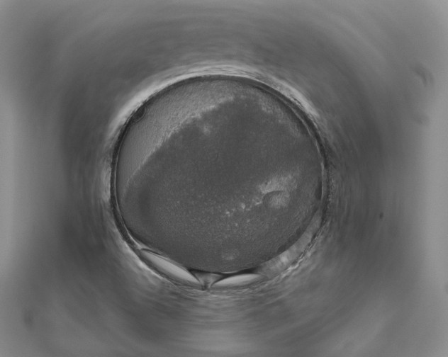 X0000111801504200908061147