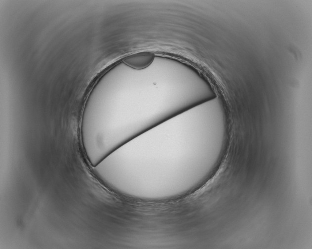 X0000111801505200908061147