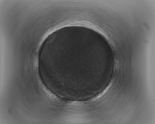 X0000111801506200908061147