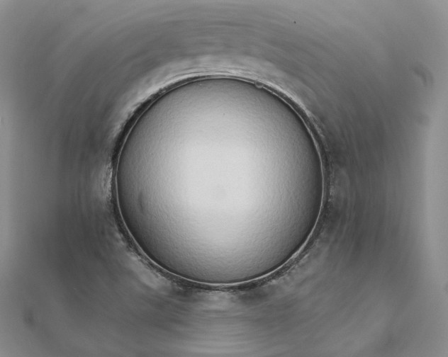 X0000111801507200908061147
