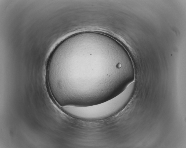 X0000111801508200908061147