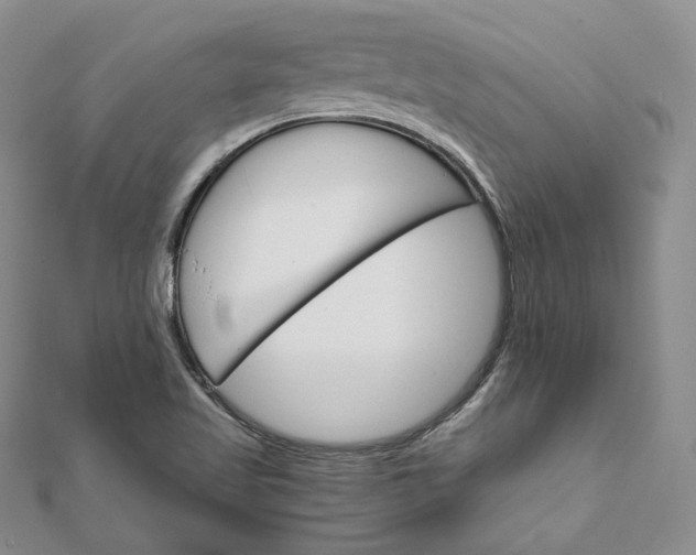 X0000111801509200908061147