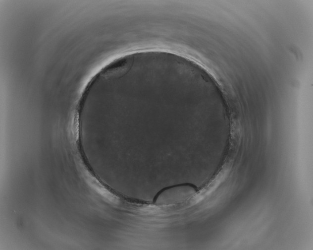 X0000111801510200908061147