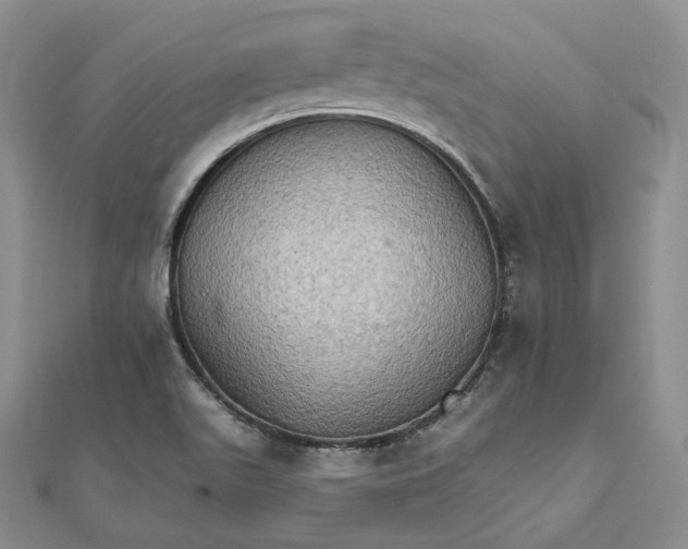 X0000111801511200908061147