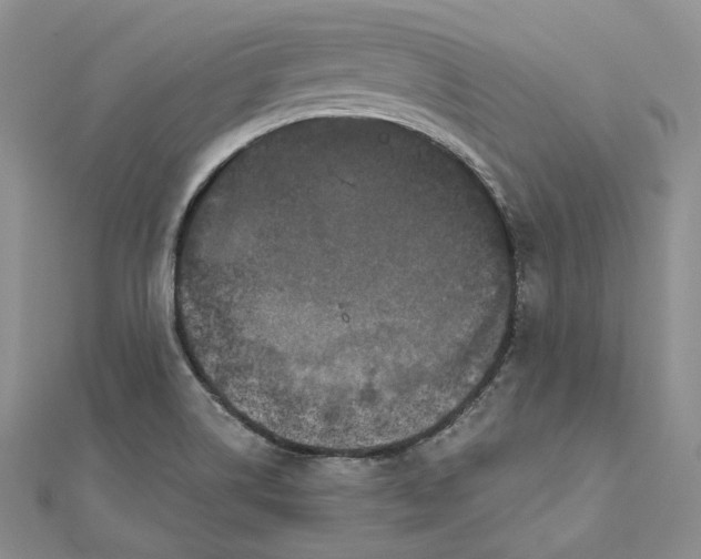 X0000111801514200908061147