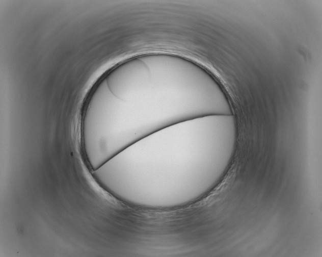 X0000111801515200908061147