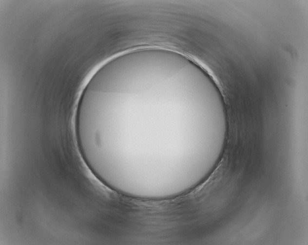 X0000111801516200908061147