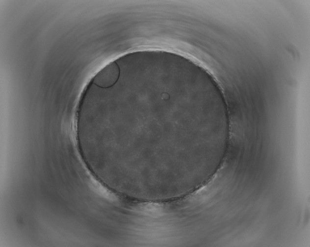 X0000111801517200908061147