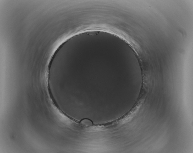 X0000111801519200908061147