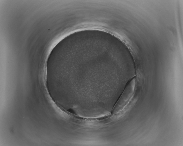 X0000111801520200908061147