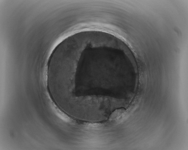 X0000111801522200908061147