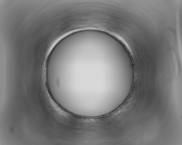 X0000111801524200908061147