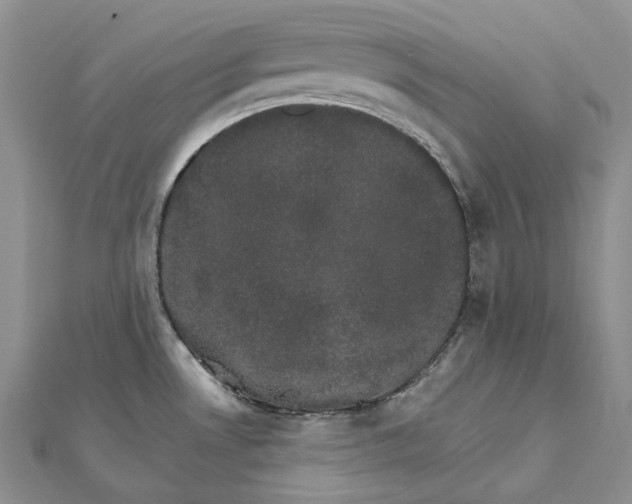 X0000111801530200908061147