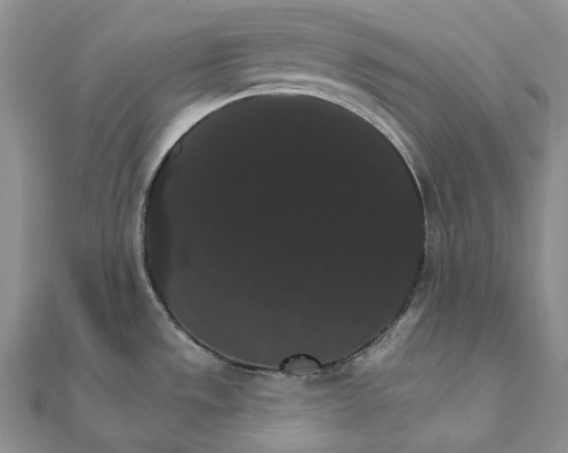 X0000111801533200908061147
