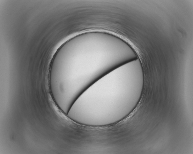 X0000111801534200908061147