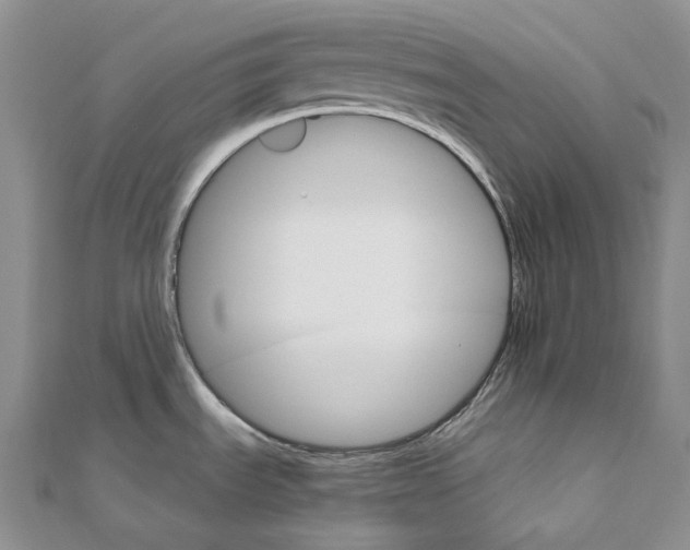 X0000111801535200908061147