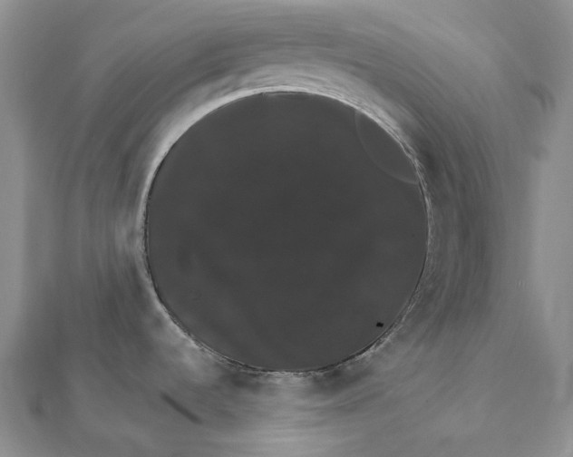 X0000111801536200908061147