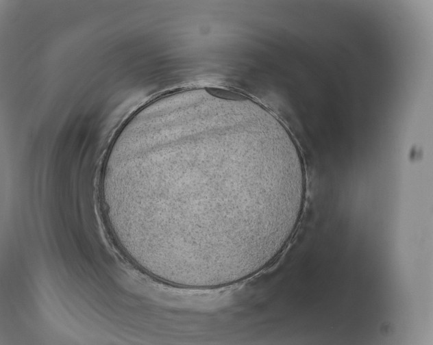 X0000111800001200908131447