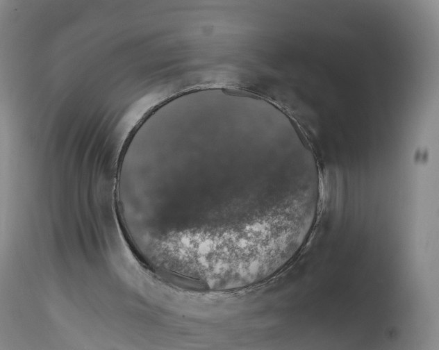 X0000111800003200908131447
