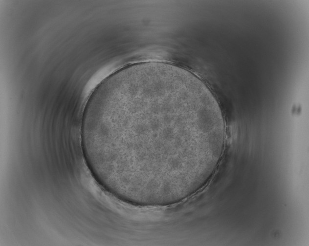 X0000111800004200908131447