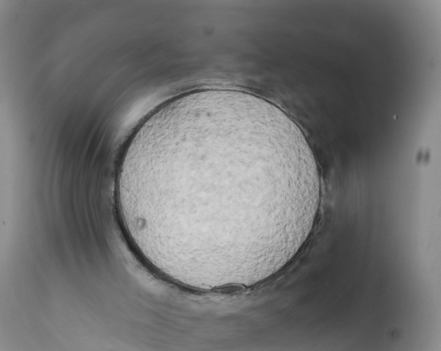 X0000111800005200908131447