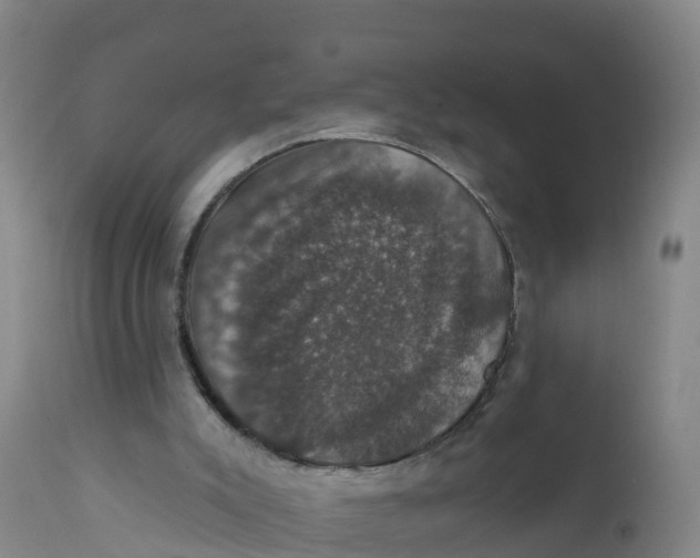 X0000111800007200908131447